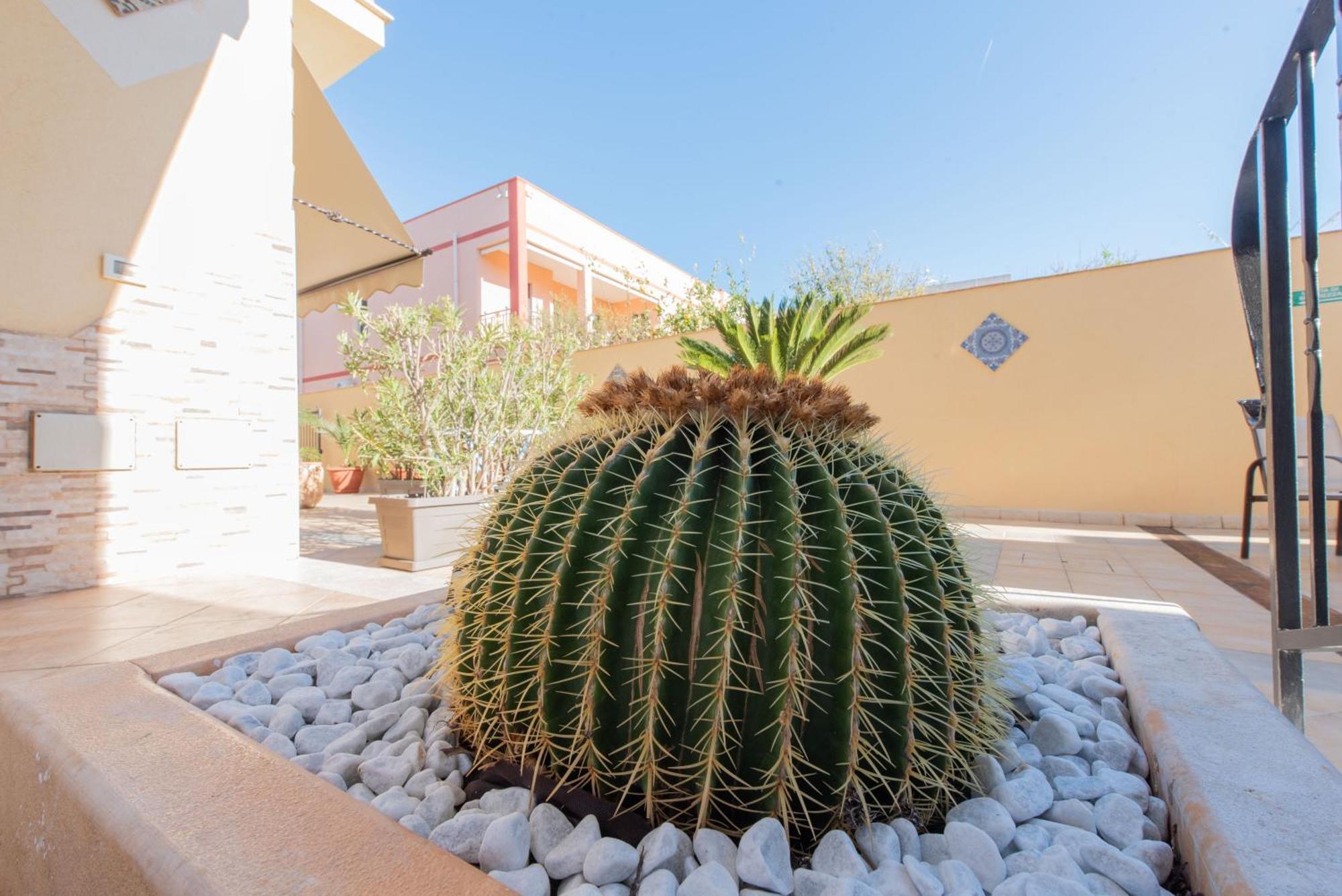 Room & Breakfast Aloe San Vito Lo Capo Eksteriør billede